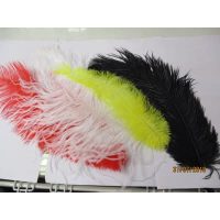 struisvogel pluimen verschillende kleuren -+40cm