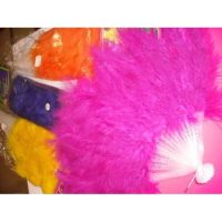 WAAIER met pluimen ass. kleuren