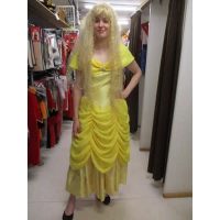 prinses luxe geel huurprijs € 40