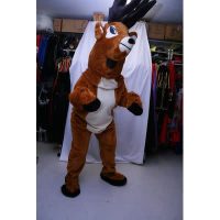 hert huurprijs € 65