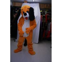 hond luxe huurprijs € 65