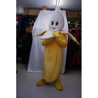 banaan huurprijs € 65