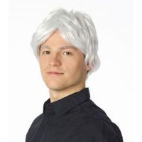 pruik heer zilvergrijs