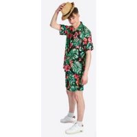 Hawaï kostuum rood groen
