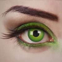 Daglenzen Magic green