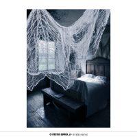 Spinnenweb doek wit 76 x 228 — verkleedaccessoire voor Halloween bij Carnavalshop Berlaar