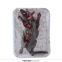 Rat op schotel — verkleedaccessoire voor Halloween bij Carnavalshop Berlaar